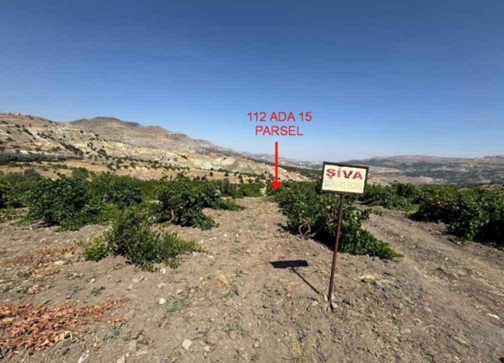 Malatya Akçadağ Durulova Mahallesinde 21.455m² Satılık Tarla