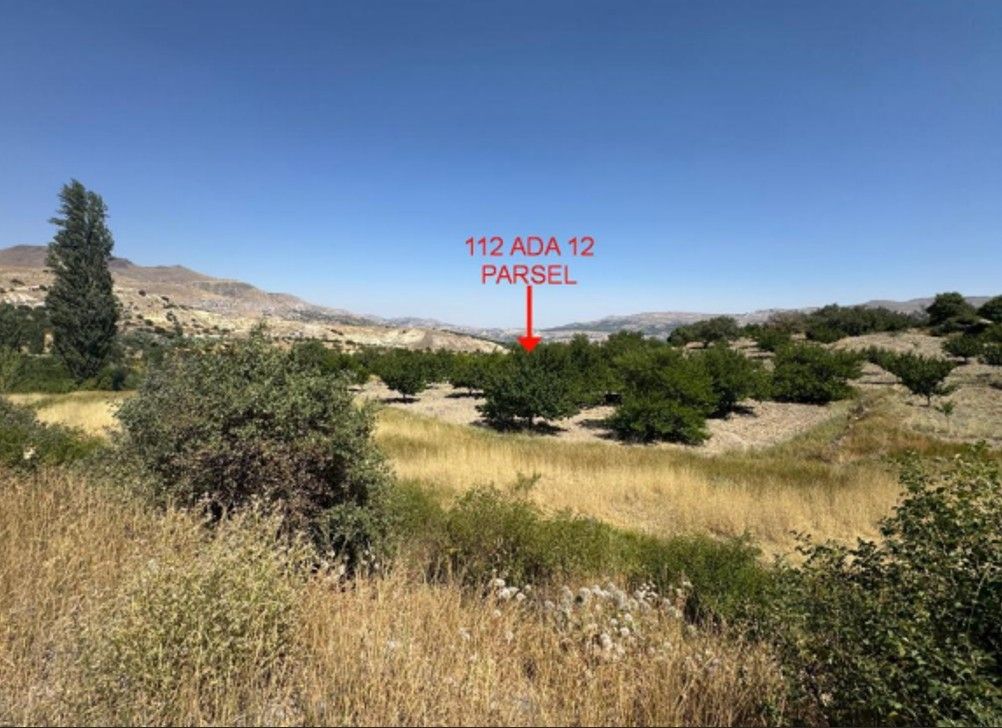 Malatya Akçadağ Durulova Mahallesinde 10.763m² Satılık Elma Bahçesi